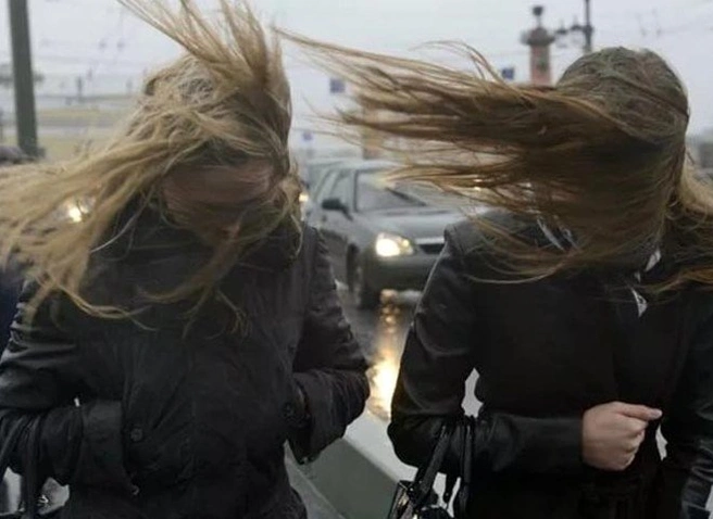 В ближайшие часы в Рязанской области ожидается усиление ветра | ya62.ru