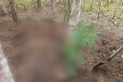Медведь убил двух пенсионерок в Красноярском крае