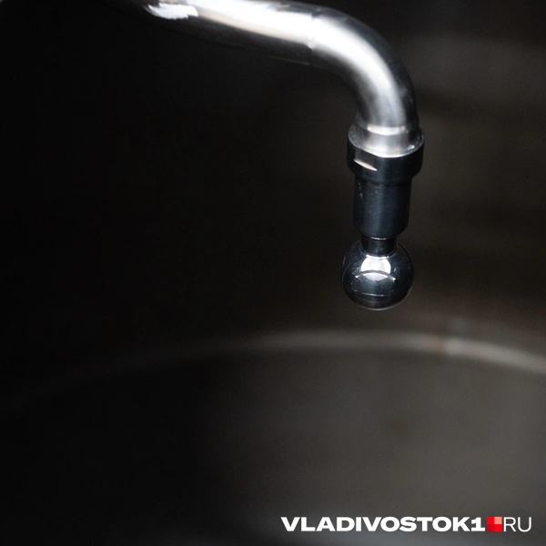 Источник: Елена Буйвол / VLADIVOSTOK1.RU