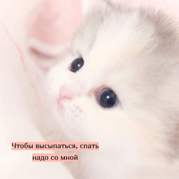 Источник: Социальные сети