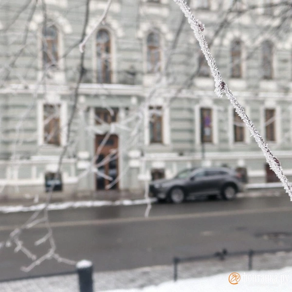 Источник: Алина Циопа / «Фонтанка.ру»