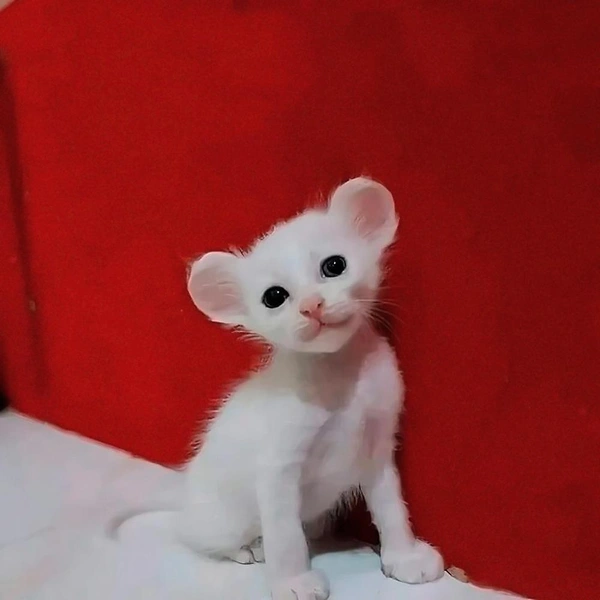 Источник: соцсети