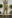 Фото №1 - Розы британских садов в коллекции Burberry Resort 2021
