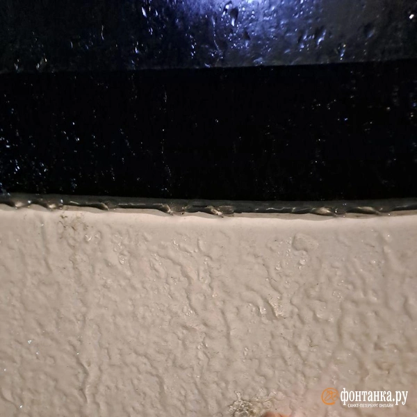 Источник: Юлия Яковлева / «Фонтанка.ру»