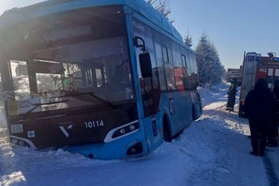 Cause of Bus Accident Near Gatchina Identified