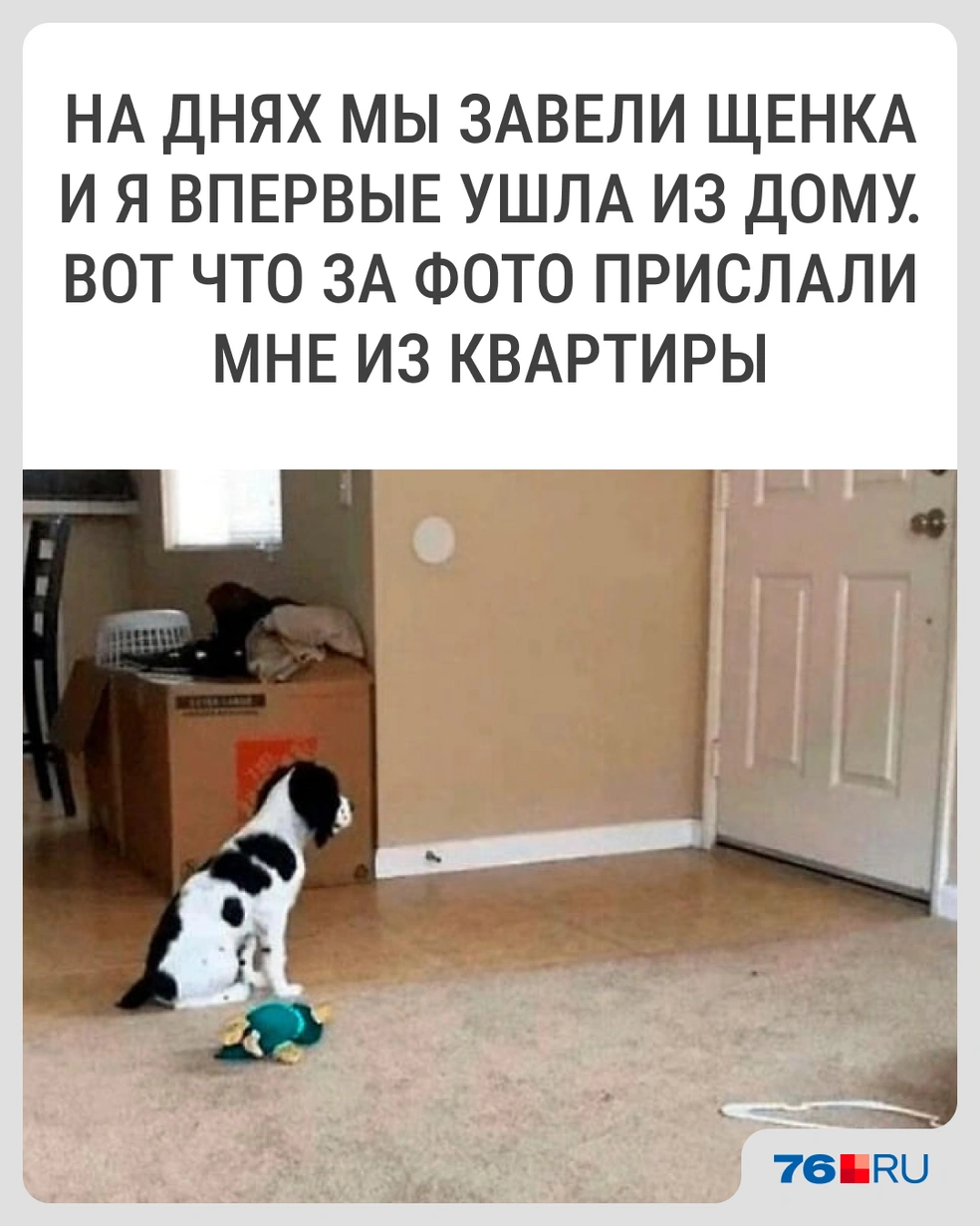 А куда ты ушла, мама?  | Источник: Городские медиа