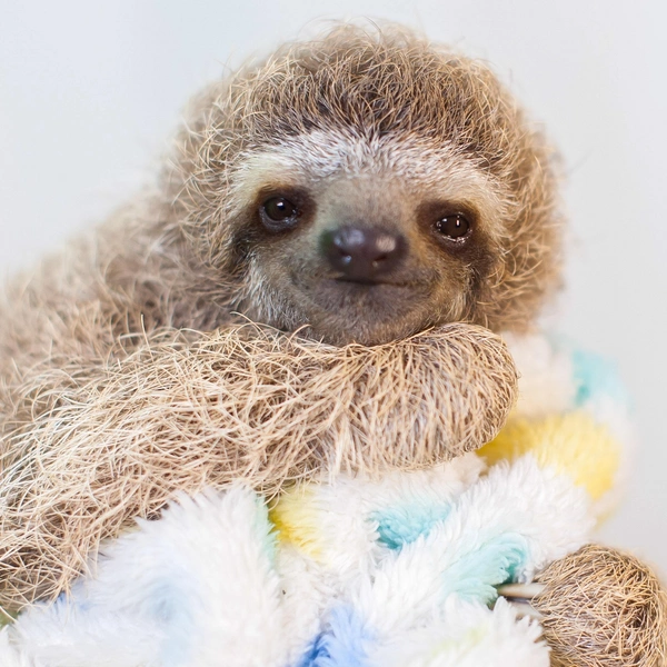 Источник: SAM TRULL / CATERS NEWS via Legion Media