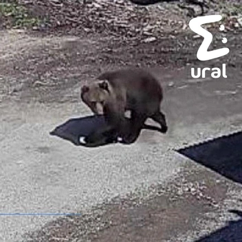 …и в центре Гремячинска | Источник: Ural Mash / Telegram