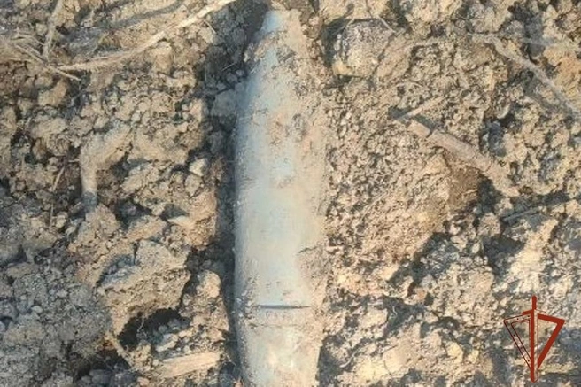 Боеприпас мог просто лежать в земле с 2019 года | Источник: Пресс-служба Управления Федеральной службы войск национальной гвардии Российской Федерации по Красноярскому краю