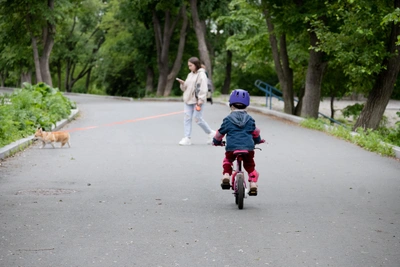 Во Владивостоке пропали рыжие близнецы с переноской