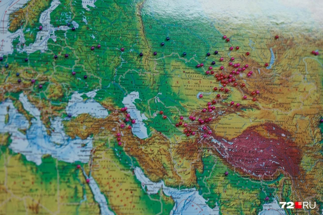 Булавками отмечены места экспедиций Романа | Источник: Ирина Шарова / 72.RU