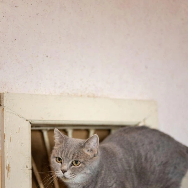 Источник: Елена Гасанова