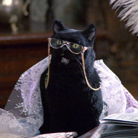 Аватарка Шапокляк