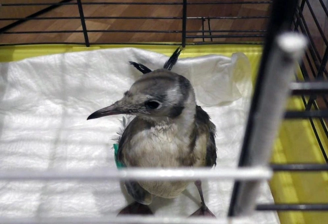 Источник: Елена Фурцева