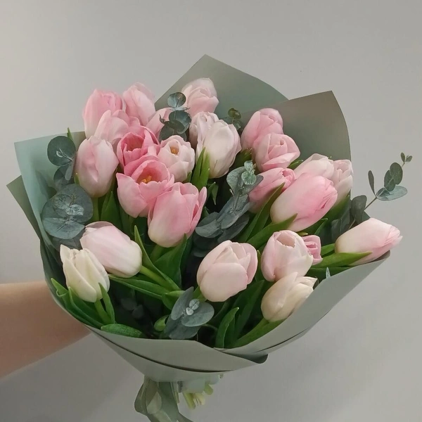 Тюльпаны, 25 шт., Flowwow
