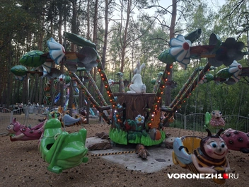 Источник: Алена Воропаева / Voronezh1.ru