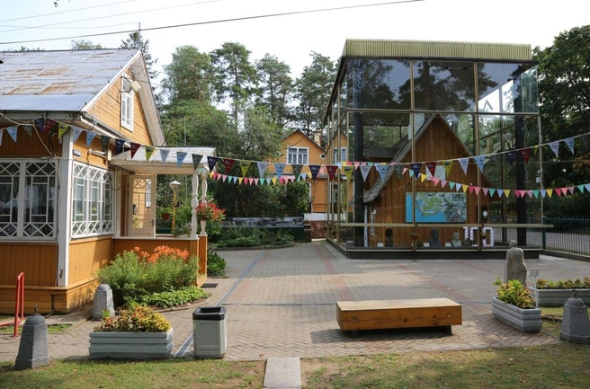 Источник: Музей «Сарай Н.&nbsp;А.&nbsp;Емельянова»