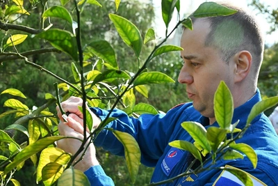 Космонавт Платонов совершил прививку на Дереве дружбы