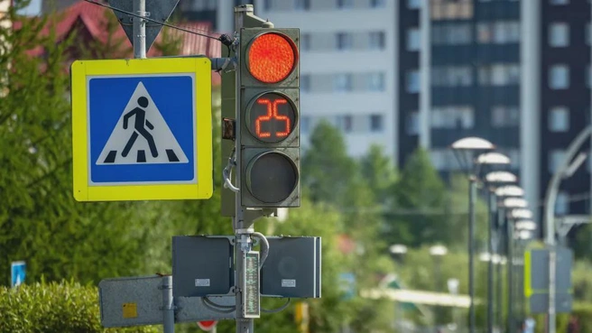 Дорожную безопасность у школ Ямала взяли под контроль | 89.ru
