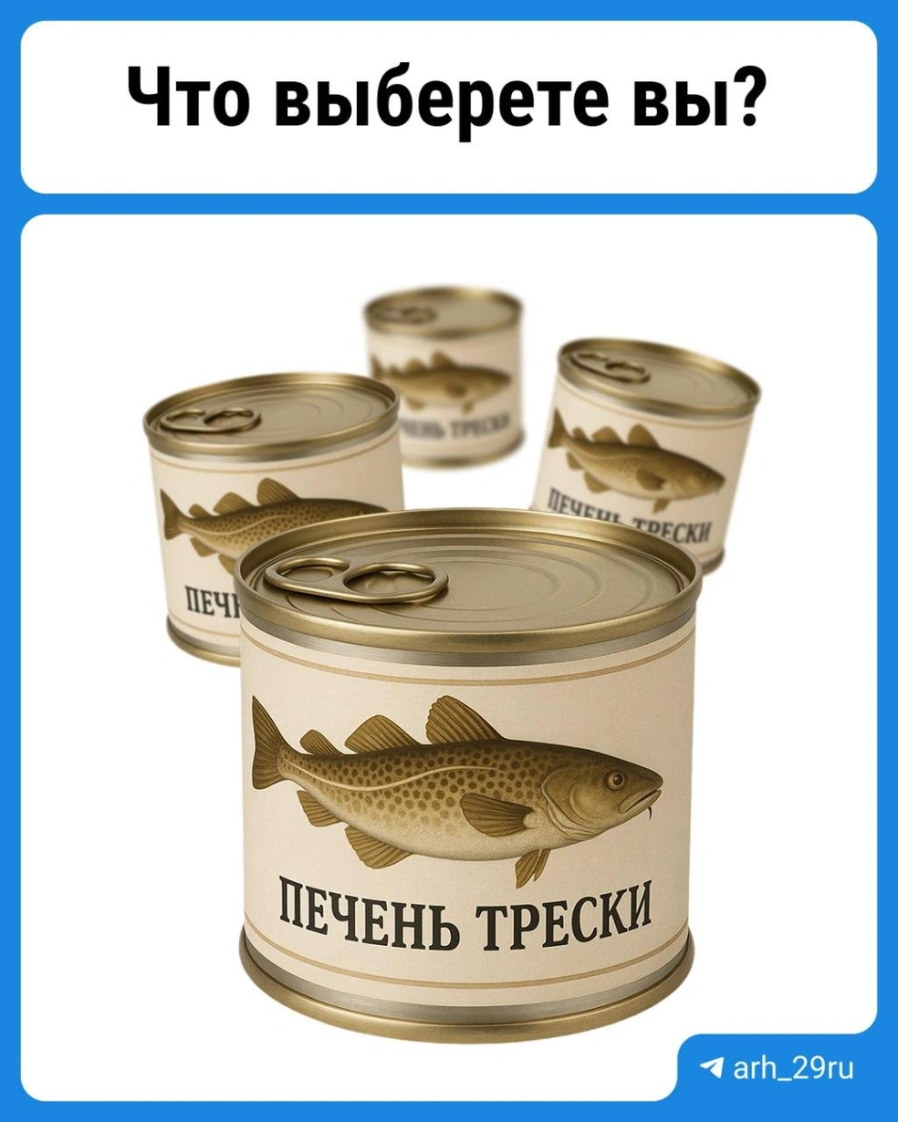 Источник: 29.RU
