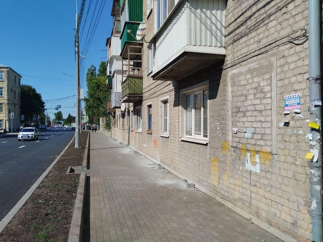 В мэрии обещали посадить новые деревья, но хватит ли им места на таком узком участке земли&nbsp;— не известно | Источник: Дмитрий Волгин / Voronezh1.ru 