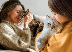 Что на самом деле чувствует кошка, когда ее целует человек?