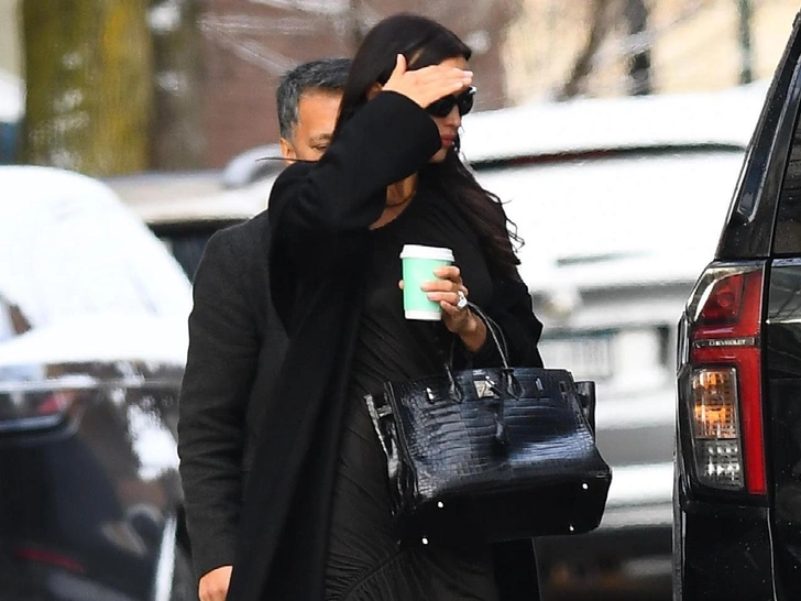 Ирина Шейк с сумкой Birkin