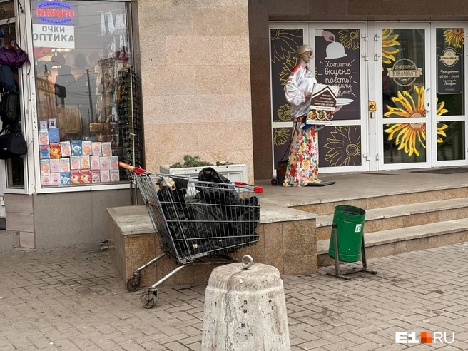 Источник: Дарья Костомина / E1.RU