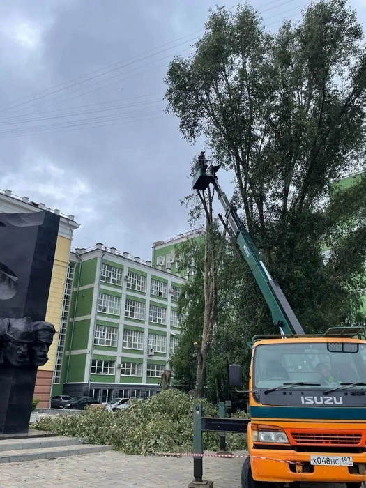 Одно дерево было аварийным — его спилили | Источник: Подслушано Самара / МАХ