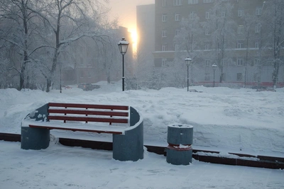 Предварительный прогноз на январь в Новосибирске: туманы и изморозь