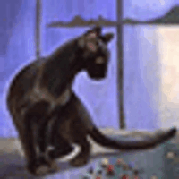 Аватарка sunnyzp83