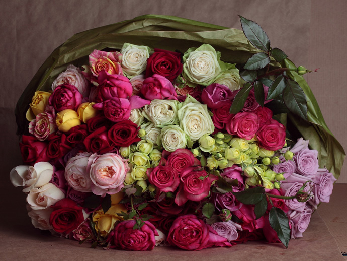 Флоранс Жерве, Фея розы, розы, цветы