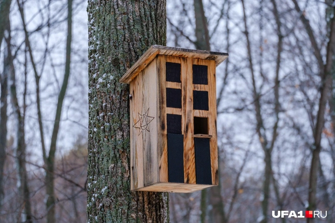 Кажется, что тут шесть окон, но оно только одно | Источник: Булат Салихов / UFA1.RU