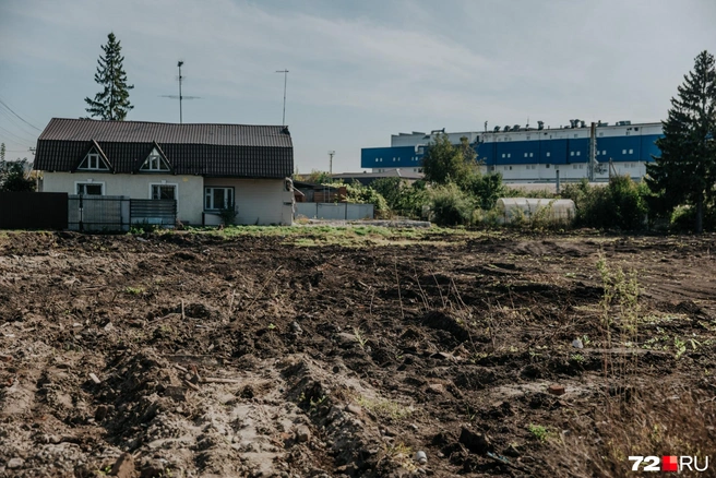 Часть домов снесли. На этом месте&nbsp;— большой пустырь | Источник: Ирина Шарова / 72.RU 