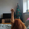 userpic__Крис