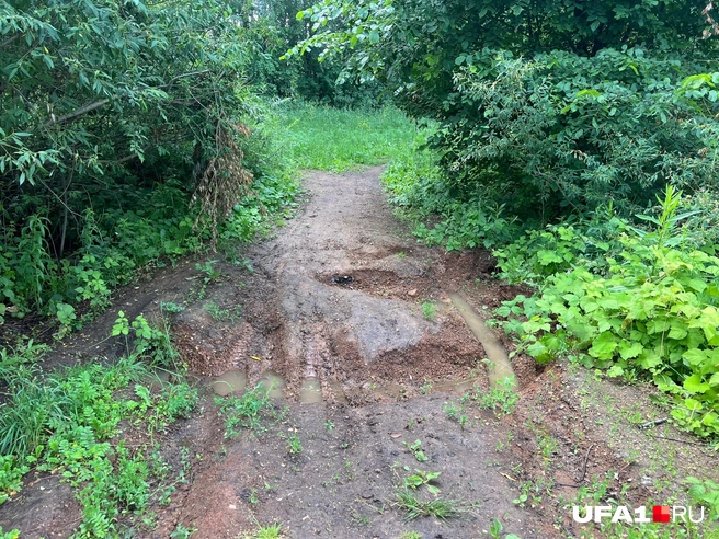 Один из входов в сад со стороны города | Источник: Андрей Бирюков / UFA1.RU