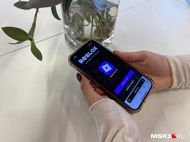 В России обсуждают создание российского аналога игровой платформы Roblox | Источник: Виктория Никитина / MSK1.RU