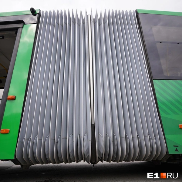 Источник: Елена Елизарова / E1.RU