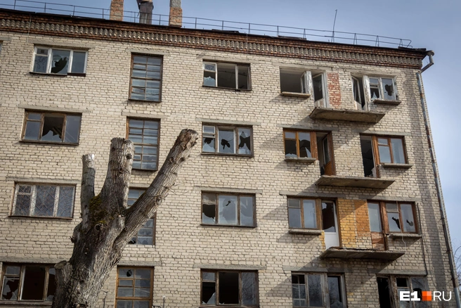 Источник: Владислав Лоншаков / E1.RU