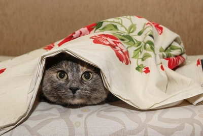 Власти Нижнего Новгорода повысили температуру отопления из-за морозов