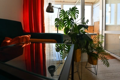 Топ-5 модных комнатных цветов этой весны