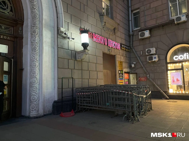 Источник: Екатерина Фадеева / MSK1.RU