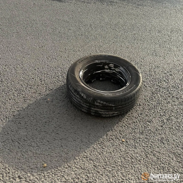 Источник: читатель «Фонтанки»