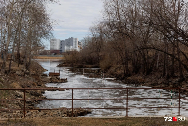 Вода идет от ТЭЦ в озеро | Источник: Ирина Шарова / 72.RU