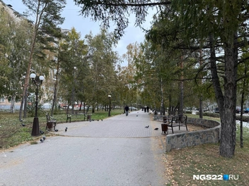 Тихая аллея | Источник: Полина Шевчукова / NGS22.RU