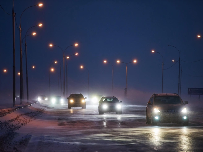 Инцидент произошёл вечером 3 января, когда Сева заметил незнакомку. | Источник: Александр Ощепков / NGS.RU