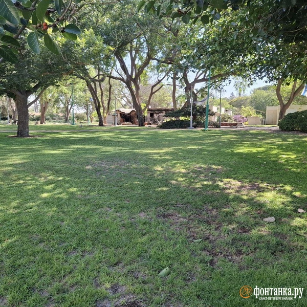 Источник: Ирина Багликова / «Фонтанка.ру»