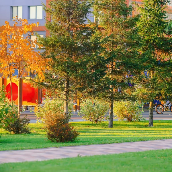 Парк благоухает в летнее время, вдохновляет осенью, а зимой становится центром зимних развлечений | Источник: «Группа Мета»