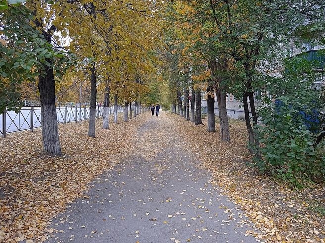 В Железнодорожном районе Ульяновска произошла коммунальная авария | Источник: Дмитрий Сильнов / 173. RU