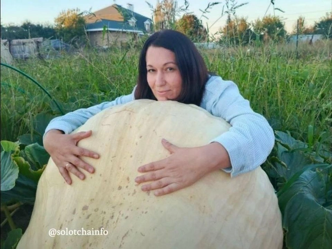 Оксана выращивала тыкву на чистейшей органике | Источник: телеграм-канал «Солотча инфо»